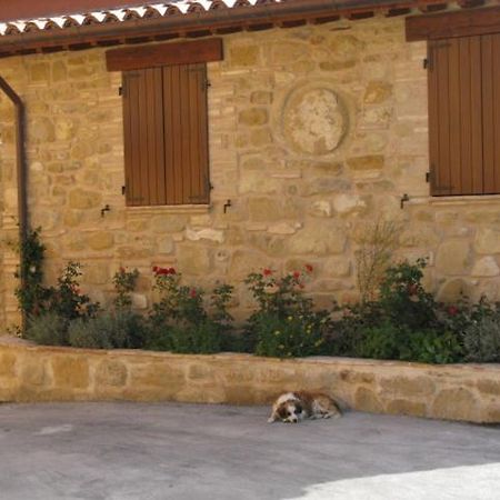 Pietra Maula Agriturismo Castelraimondo Exteriör bild