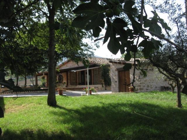 Pietra Maula Agriturismo Castelraimondo Exteriör bild