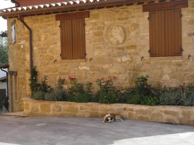 Pietra Maula Agriturismo Castelraimondo Exteriör bild