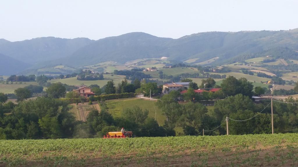 Pietra Maula Agriturismo Castelraimondo Exteriör bild