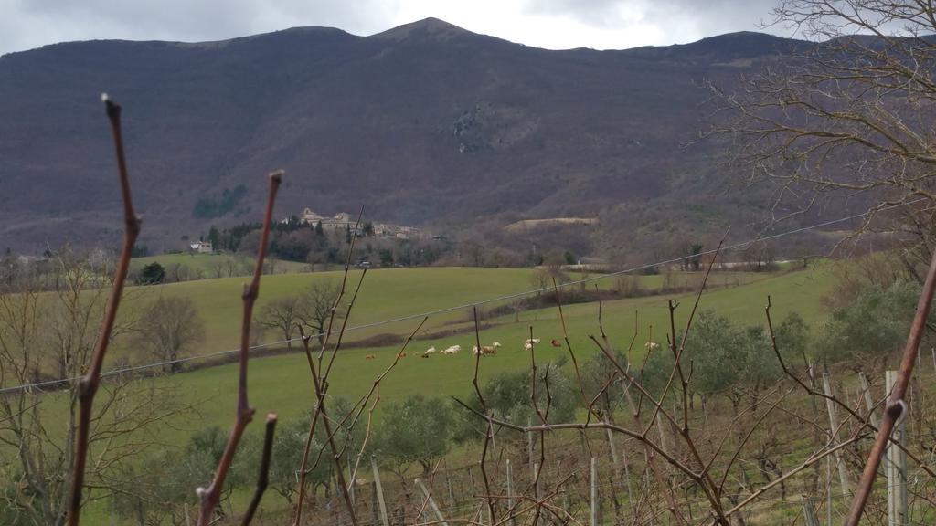 Pietra Maula Agriturismo Castelraimondo Exteriör bild
